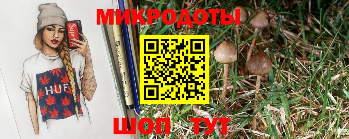 Псилоцибиновые грибы GOLDEN TEACHER Калуга
